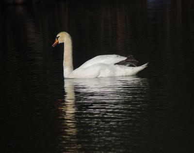 Прикрепленное изображение: 002.jpg